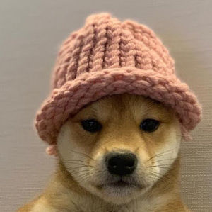 Meet your Posher, Erik